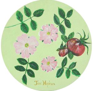 Dog Roses, acrylic on round canvas