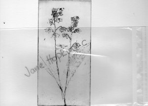 Print, from soft ground etching. Black ink on white.